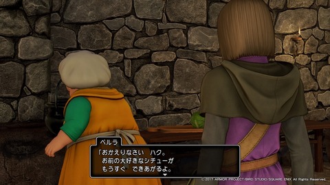 ドラゴンクエストXI 過ぎ去りし時を求めて_20170802193111