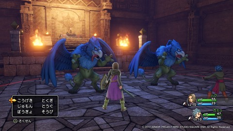 ドラゴンクエストXI 過ぎ去りし時を求めて_20170802203152