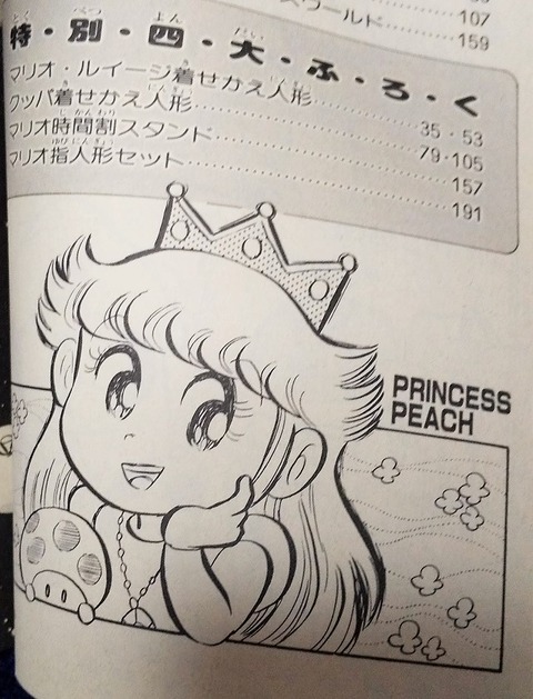 スーパーマリオブラザーズ2 沢田ユキオ スーパーマリオブラザーズ2 沢田ユキオ - メルカリ