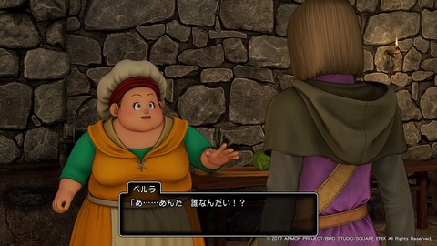 ドラゴンクエストXI 過ぎ去りし時を求めて_20170802193134