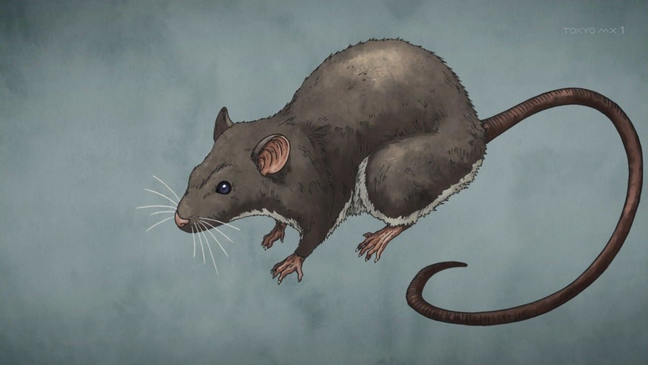 三十路オタクの世界 16年07月16日