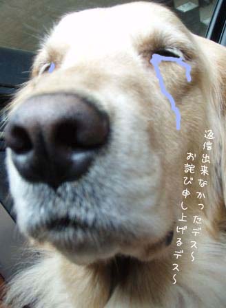 º¤¤ê¤Þ¤¹¤¿