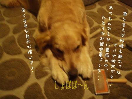 ¥¤¥¤¥³¤Ç½õ¤«¤Ã¤Æ¤ë¤è¡ª