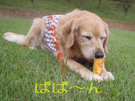 ¤è¤¦¤ä¤¯¤ª²ñ¤¤½ÐÍè¤Þ¤·¤¿¢ö