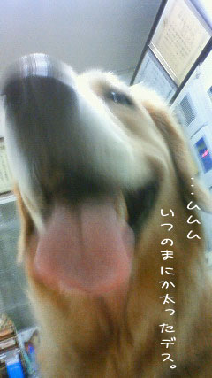¥ª¥Ç¥Ö¤Ë¤Ê¤Ã¤¿¡ª¡©