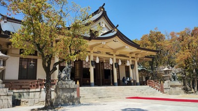湊川神社 狛犬さん