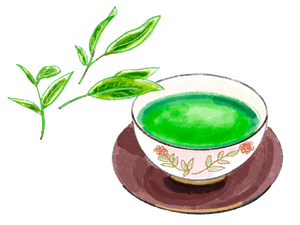 緑茶