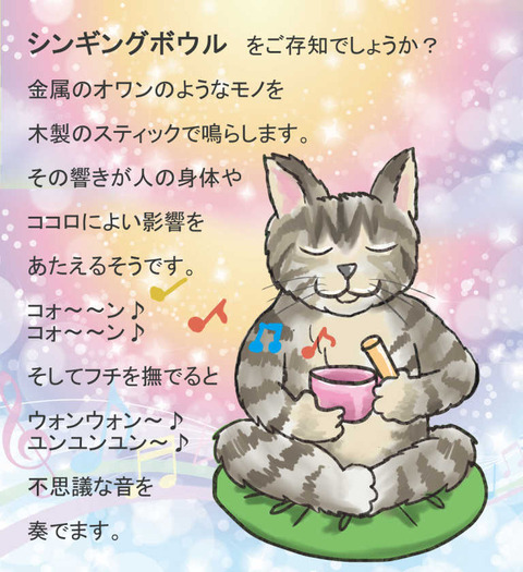 3月31日瞑想ねこ