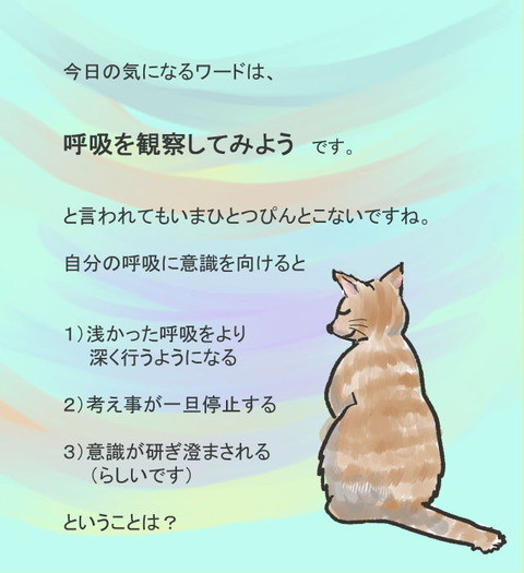 にゃんこ　4日30日