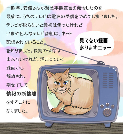 21年5月10日ネコとテレビ