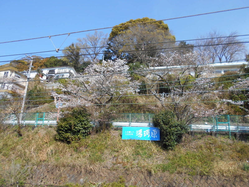 DSCN1024