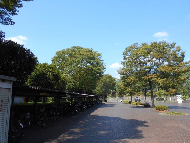 s-DSCN0314