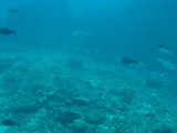 saipan04