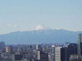 9e4539f9.jpg