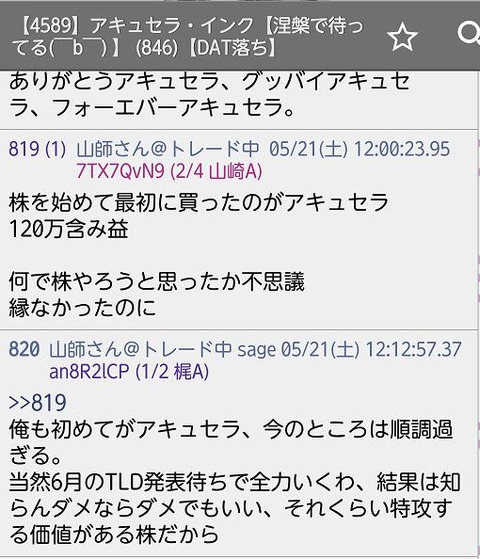 アキュセラネタ31