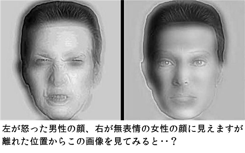 面白画像 2つの顔 おとぼけワールドワイド 面白画像 2つの顔 おとぼけワールドワイド