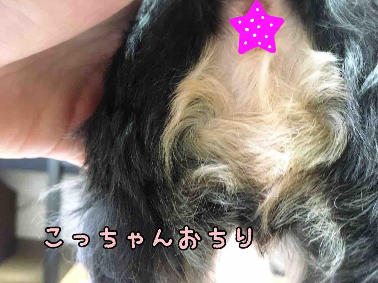 つむじを探せ ツンデレ兄とちょいワル妹 つむじを探せ ツンデレ兄とちょいワル妹
