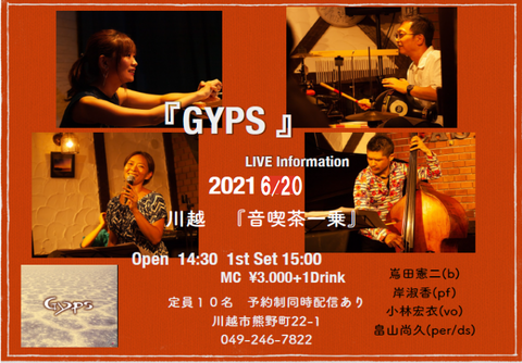 6.20Gyps