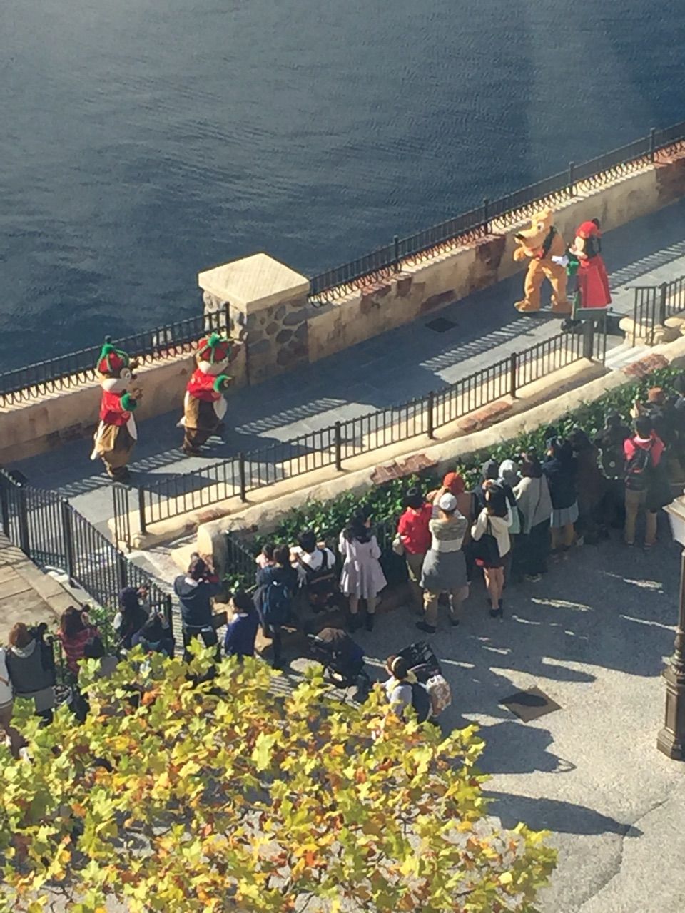 2泊3日のクリスマスインで泊まったミラコスタのお部屋 スペチアーレ スイート ポルトパラディーゾサイドスーペリアルーム ハーバービュー5129号室 編 コイケの お泊まり ディズニー記録