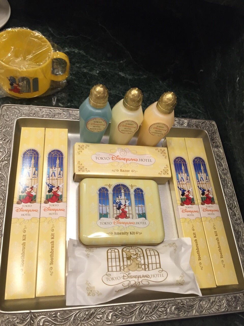 15 06 10水曜 11木曜 初めてのランドホテルでハッピーバースデー編 コイケの お泊まり ディズニー記録