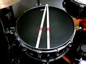 snare