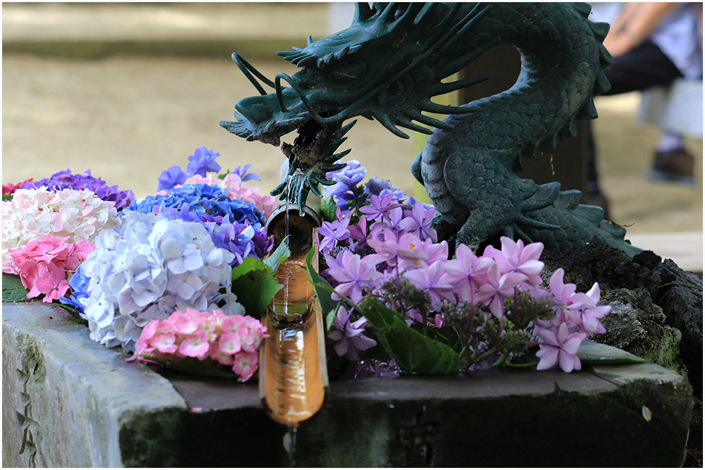 選べる２５色 花冠 ボリュームアジサイｍ リストレット Oceanomochilas Com