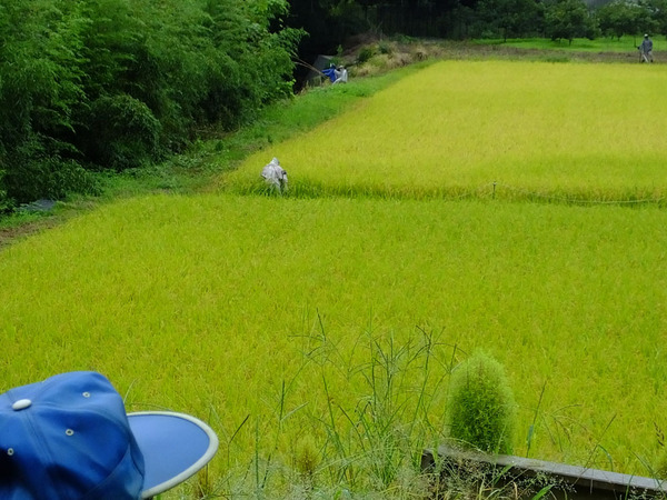 里風景7