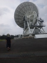 0803728b.jpg