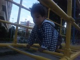2dc28453.jpg