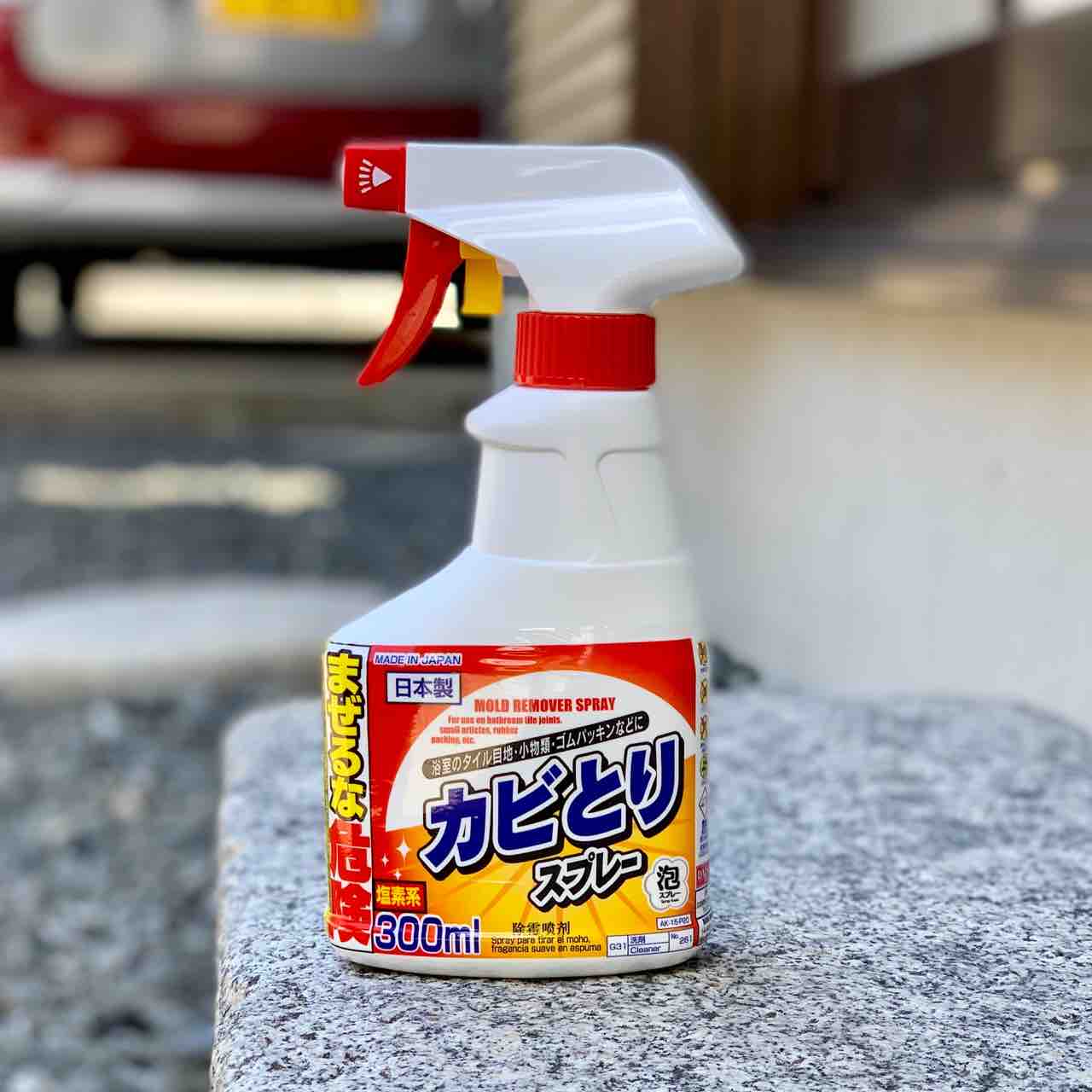 備忘録 衣類の黒カビ除去 おとんの脳みそ