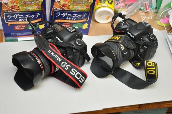 思い出のnikon D100 D0 D300 大人とこどもの分岐点2期