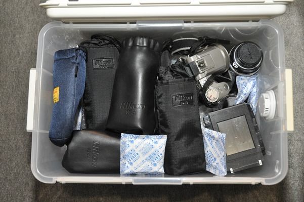 思い出のnikon D100 D0 D300 大人とこどもの分岐点2期