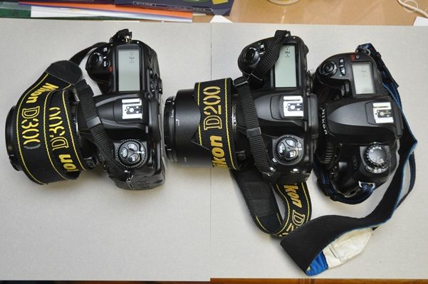 思い出のnikon D100 D0 D300 大人とこどもの分岐点2期