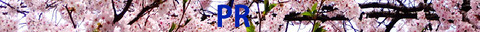 bar_pr_sakurakako