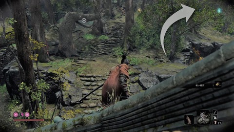 sekiro170