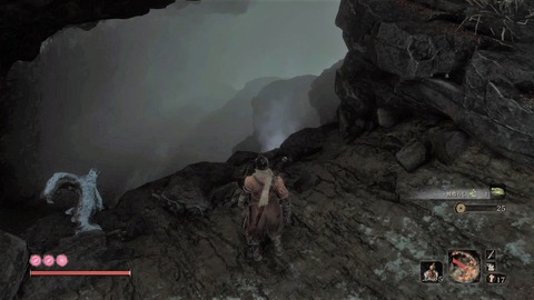 sekiro240