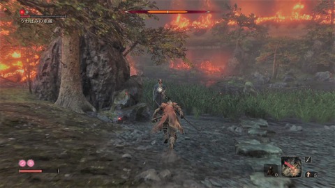 sekiro70