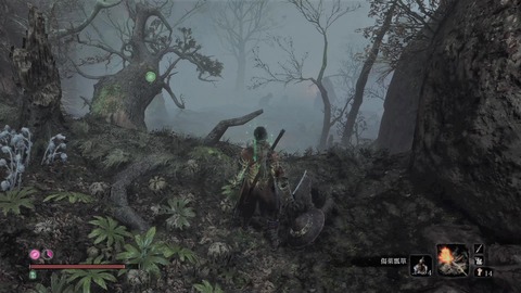 sekiro289