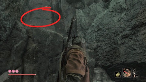 sekiro273