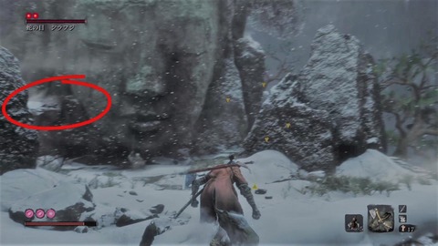 sekiro224