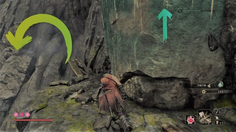 sekiro176