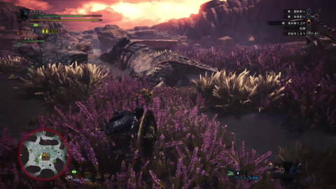 mhw_b08