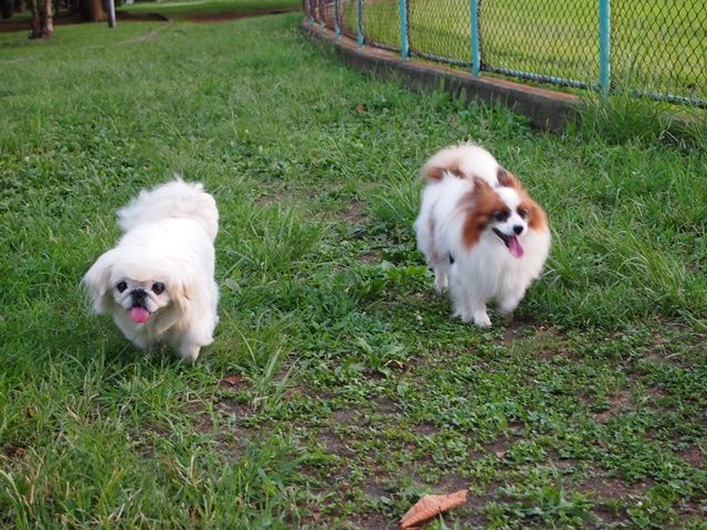 歯の黄ばみを避け、健康的な笑顔を保つための5つのヒント