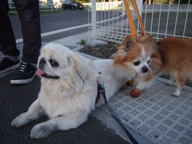 Anvisa、がん治療のための新しい先進技術を承認