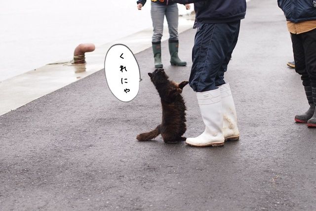 知らずに食べてしまう5つの偽の食品