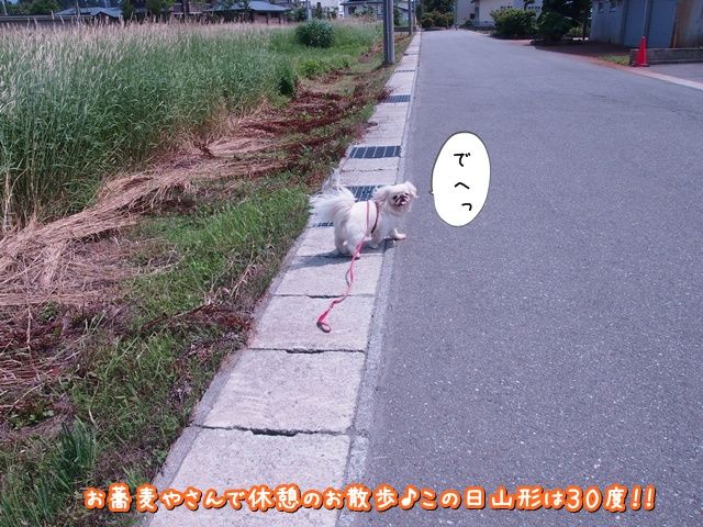 自分のおしっこがあなたの健康について何を物語っているかを調べてください