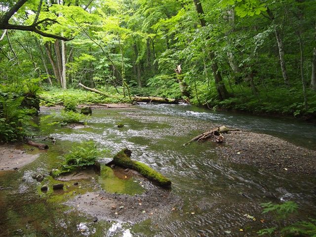 写真家が美術館を訪れ、作品に合わせた人物写真を撮影