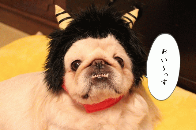 節分 ドリフのかみなりさまシリーズ Otonosamasamaのブログ