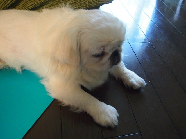 新しい血液検査は50種類以上のがんを検出できる