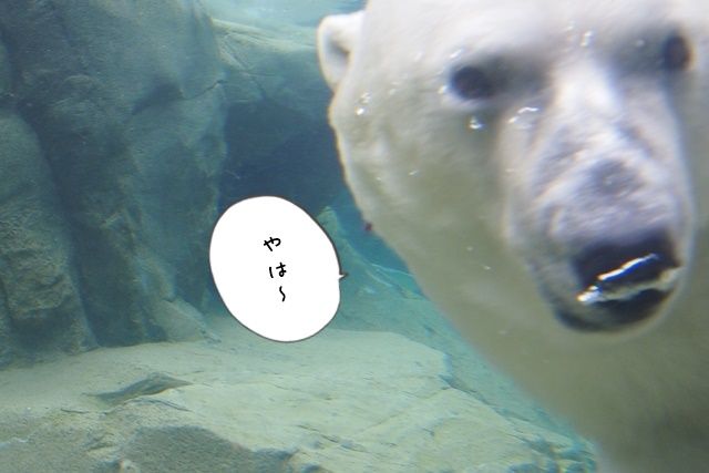 猿痘の流行はまだ阻止できるとWHOが発表